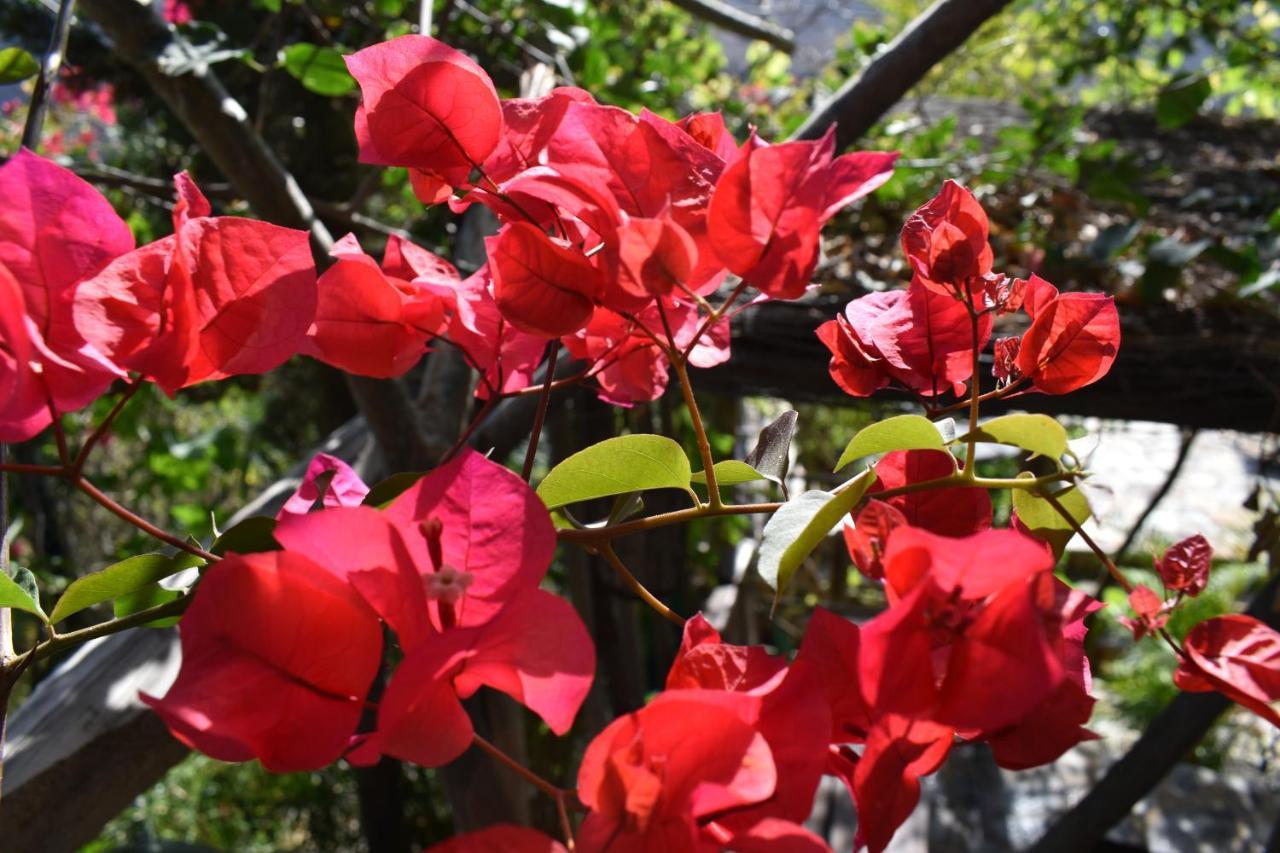 San Bartolomé Romantica מראה חיצוני תמונה