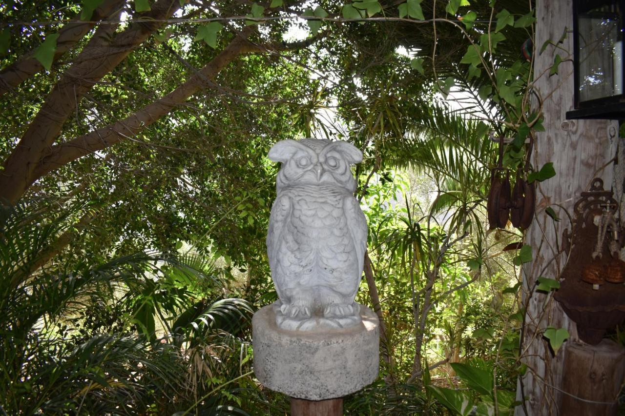 San Bartolomé Romantica מראה חיצוני תמונה